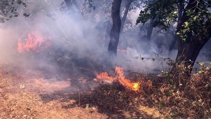 Τσουχτερό πρόστιμο για φωτιά σε περιοχή του δήμου Πύλης